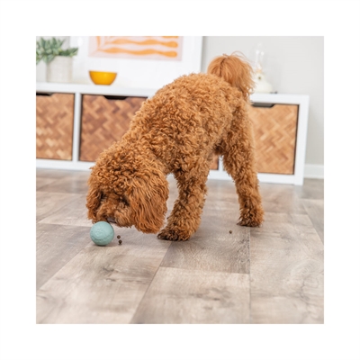Trixie Snackboll För Rolig Aktivering av Hunden Ø6cm GRÖN