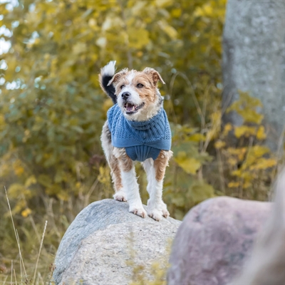 Trixie Design Norwood Hundpullover Stickad Tröja Blå