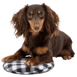 Trixie Warm Pad For Your Pet Håller värmen i många timmar