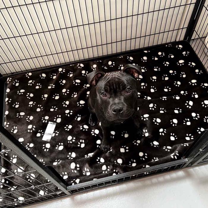 Hundfilt Svart Med Vita Tassavtryck Passar i Valphagen 120x80 cm