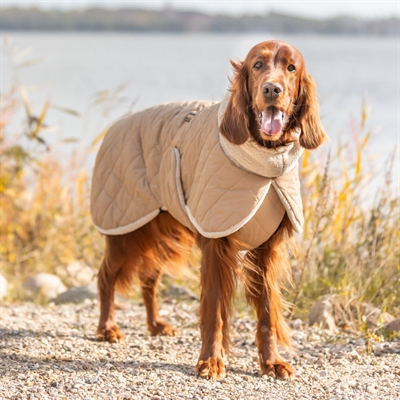 Sherpa Vinter Hundjacka Bamseplysch & Läckert Design MINOT Beige Sand