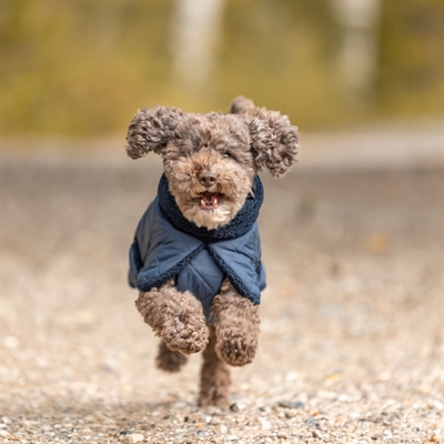 Sherpa Vinter Hundjacka Bamseplysch & Läckert Design MINOT Navy Blue