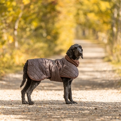 Sherpa Vinter Hundjacka Bamseplysch & Läckert Design MINOT Brown
