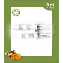 VitaPetz Q10 Oral Gel för hundar
