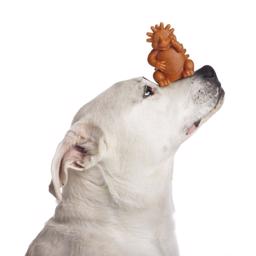 Whimzees Tuggben Hedgehog LARGE Glutenfri Vegan Tandrensare 1 st.