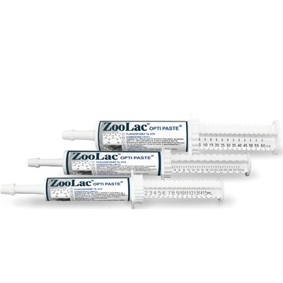Zoolac Opti Paste 32ml Probiotisk Pasta som Stabiliserar Tarmfloran